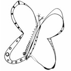 Wee Butterfly by Jenny Doh